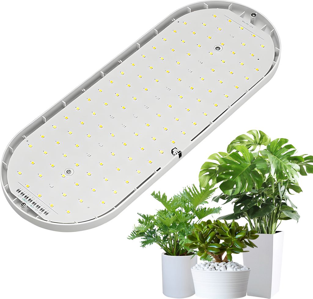 LED-Wachstumslicht, Vollspektrum, 10 W, 2 Std./4 Std./8 Std., Timer, 4 dimmbare Stufen, Pflanzenlichter fuer Zimmerpflanzen, Blumensaemlinge, Gemue...