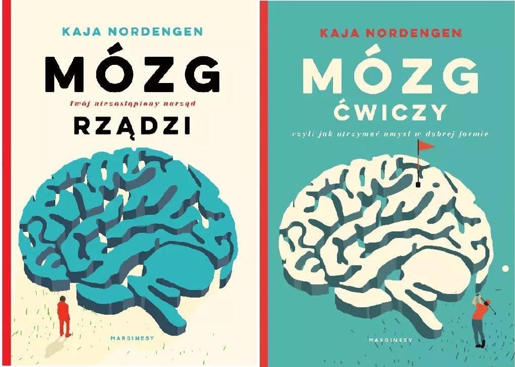Das Gehirn-Paket. Die Regeln des Gehirns / Die Übungen des Gehirns