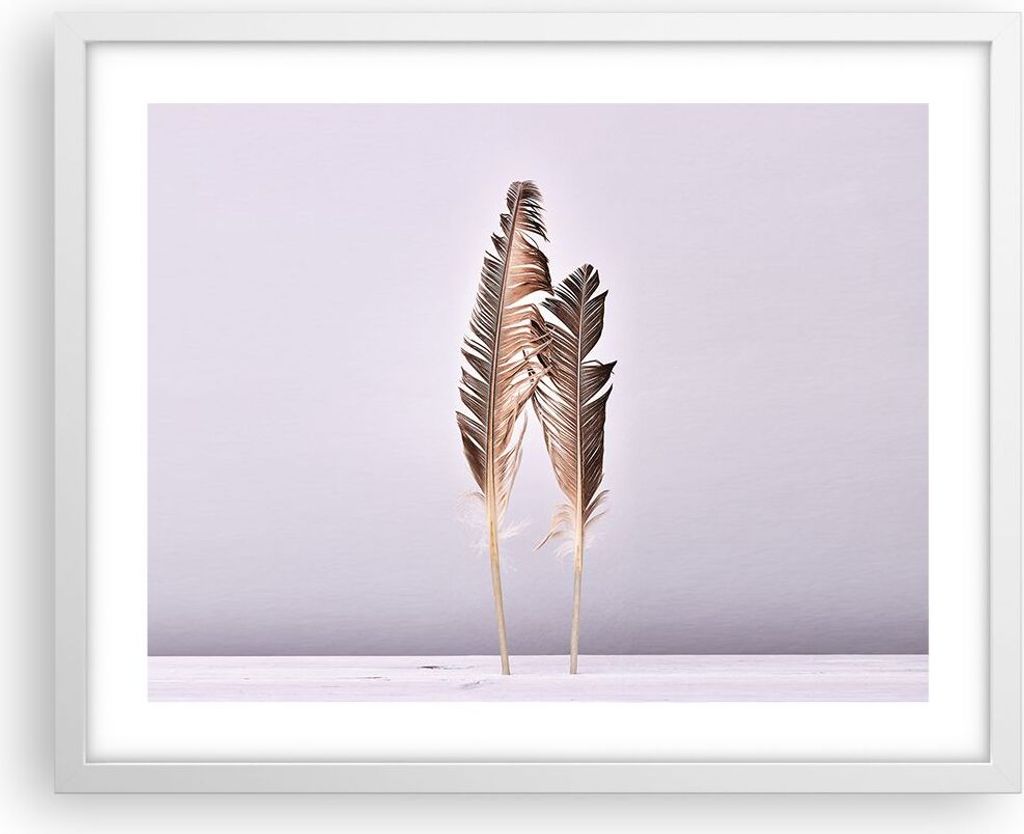 Gerahmtes Poster - Weißer Rahmen - Zwei Federn Flieder - 50x40 cm - Wand Bild - Wanddeko - Wandbilder - Kunstposter - Wandposter - Bilderrahmen - ...