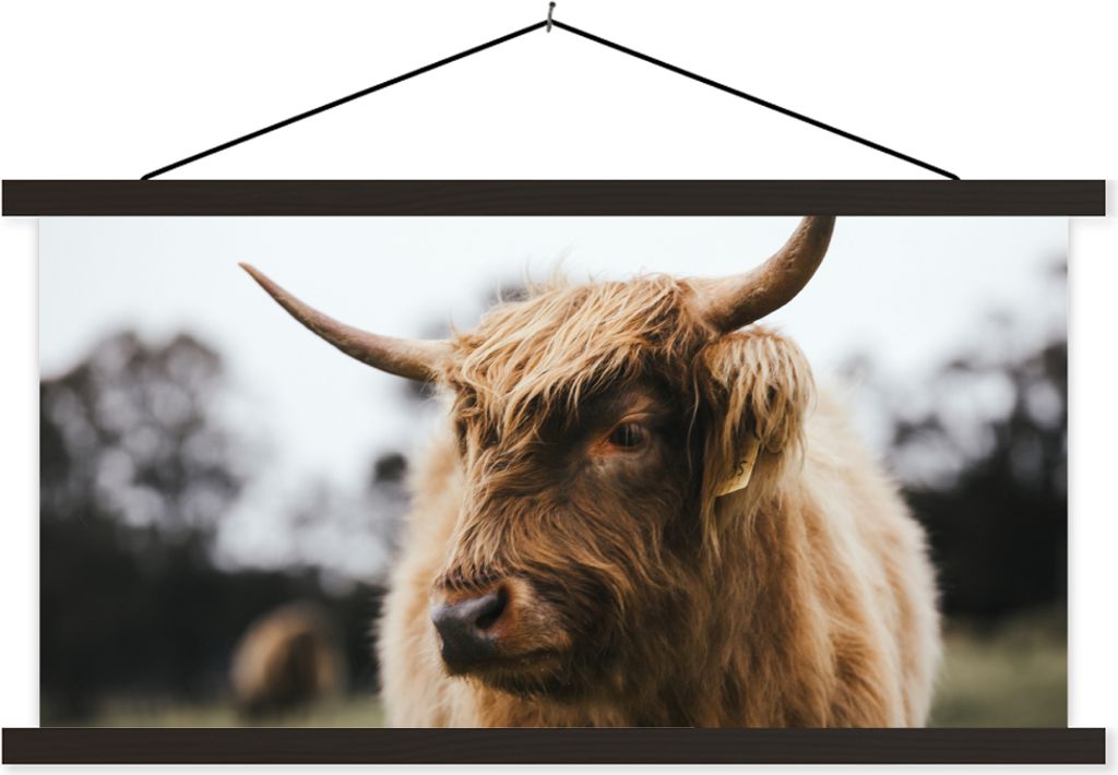 MuchoWow Textilposter Schottisches Hochlandrind - Tiere - Hörner 120x60 cm mit schwarzem Rahmen - Dekoration Schlafzimmer
