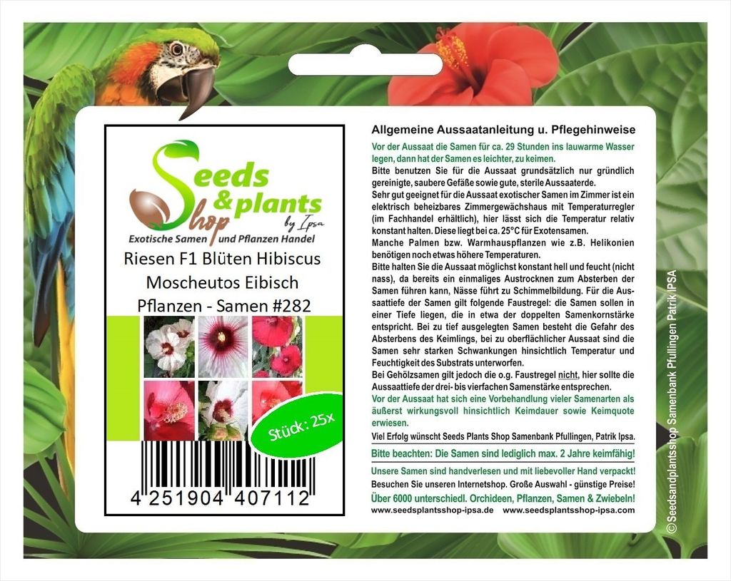 25x Riesen F1 Blüten Hibiscus Moscheutos Eibisch Pflanzen - Samen #282