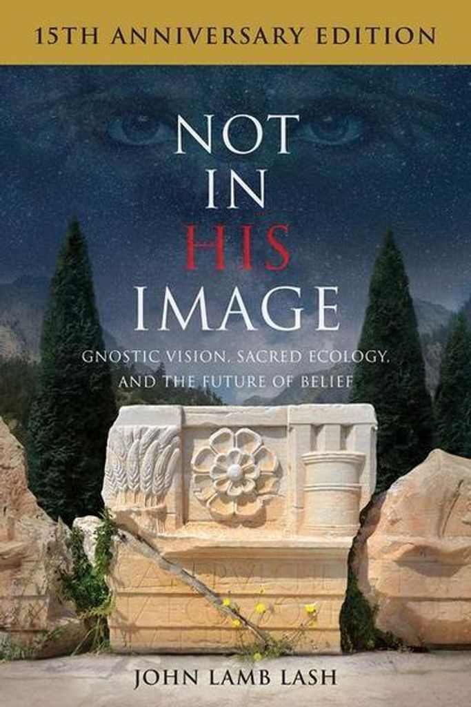 Not in His Image (15th Anniversary Edition) Image du produit 