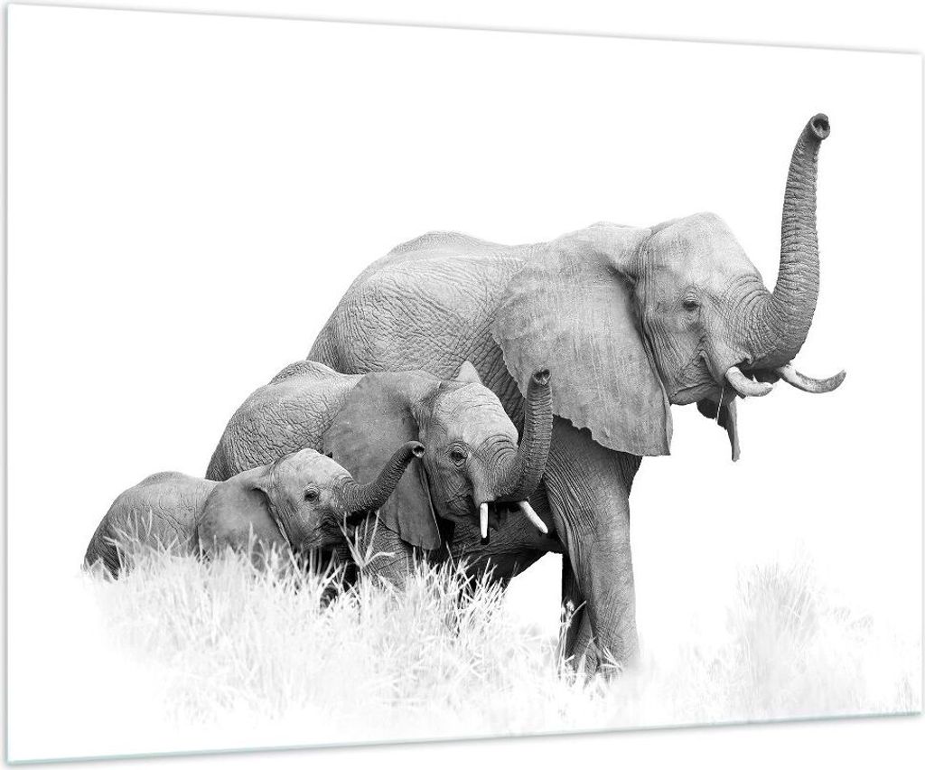 Bilder auf glas - Einteilig - Elefanten Familie Schwarz und Weiß - 100x70cm - Glasbilder - Wandbilder - Bilder - Wanddekoration aus Glas - Glas Bi...