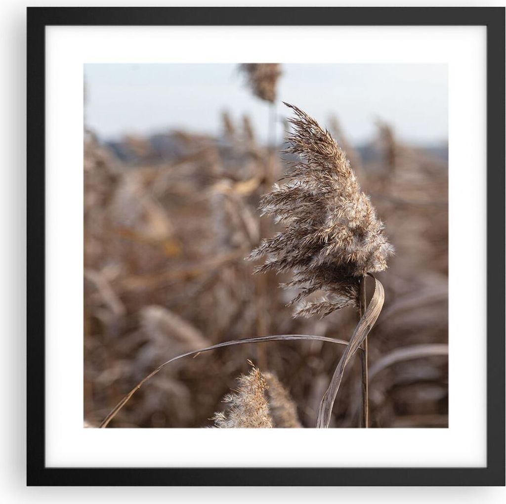 Gerahmtes Poster - Schwarzer Rahmen - Boho Ähren Gras - 40x40 cm - Wand Bild - Wanddeko - Wandbilder - Kunstposter - Wandposter - Bilderrahmen - B...