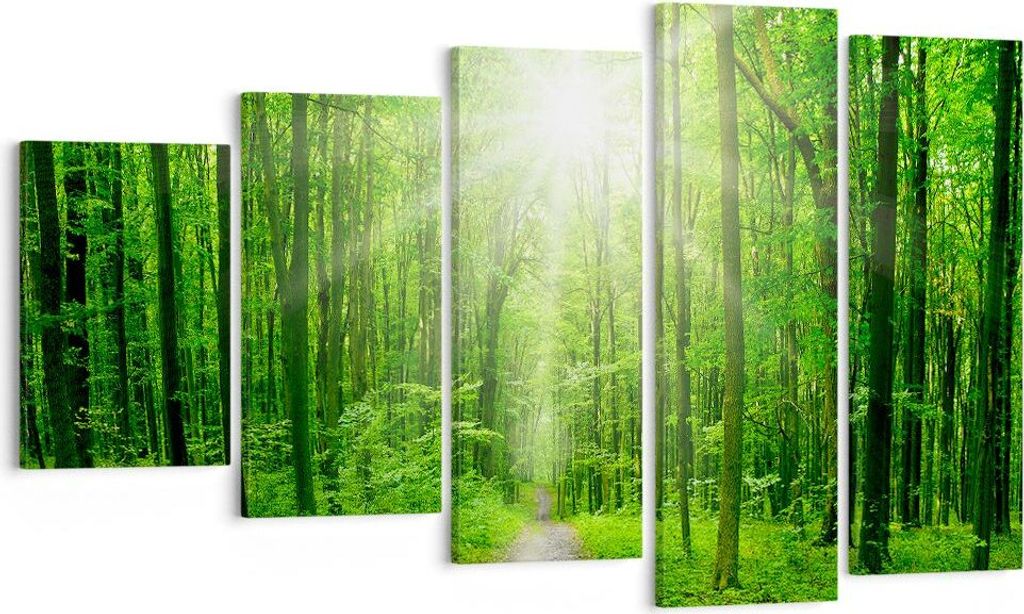 Bild auf Leinwand - Leinwandbild - Sonnenstrahlen Wald Sommer - 100x60cm - Wand Bild - Wanddeko - Leinwanddruck - Bilder - Kunstdruck - Wanddekorat...