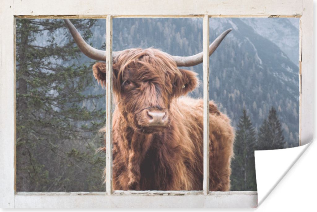 MuchoWow Poster Schottischer Highlander - Ansicht - Vista 30x20 cm - Plakate - Print