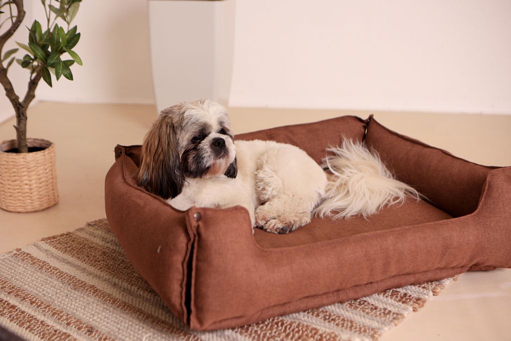 Hundebett & Hundekissen in einem - Blau/Einklappbare Hundeliege/Hunde-Schlafplatz maschinenwaschbarr passend für Hundebetten Tierkissen Katenbett ...