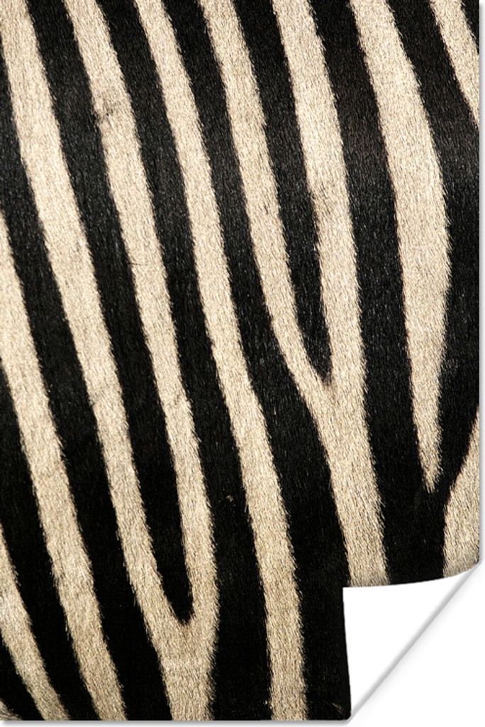 MuchoWow Poster Tiere - Zebra - Muster 60x90 cm - Wanddekoration