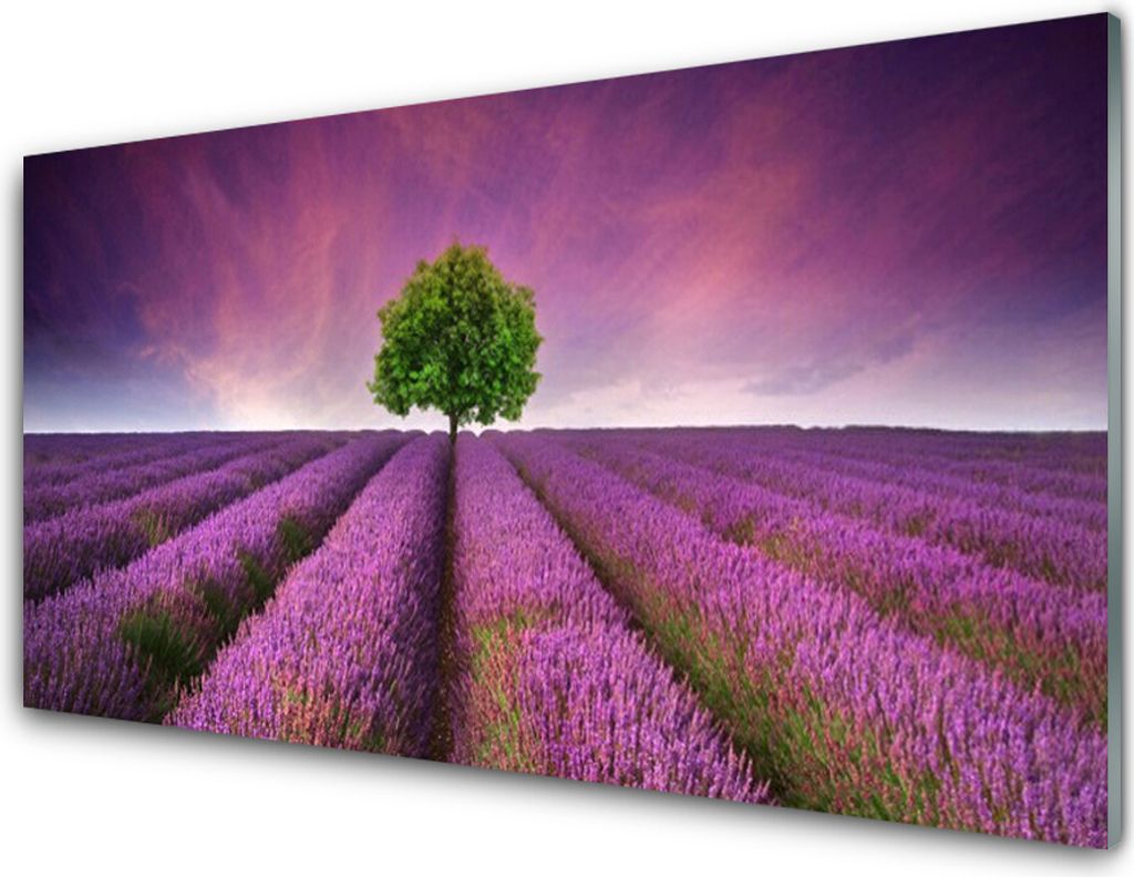Acrylglasbilder 100x50 Wandbild Druck Wiese Baum Natur