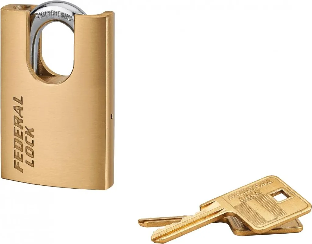 Cadenas anti-vol Thirard 50mm avec anse blindée pour stopper les effractions