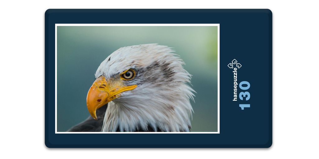 hansepuzzle 16814 - Weißkopf-Seeadler Puzzle, 130 Teile, Tierwelt, 28,7 x 20,0cm mit hochwertiger Aufbewahrung, Kartonbox & Beutel