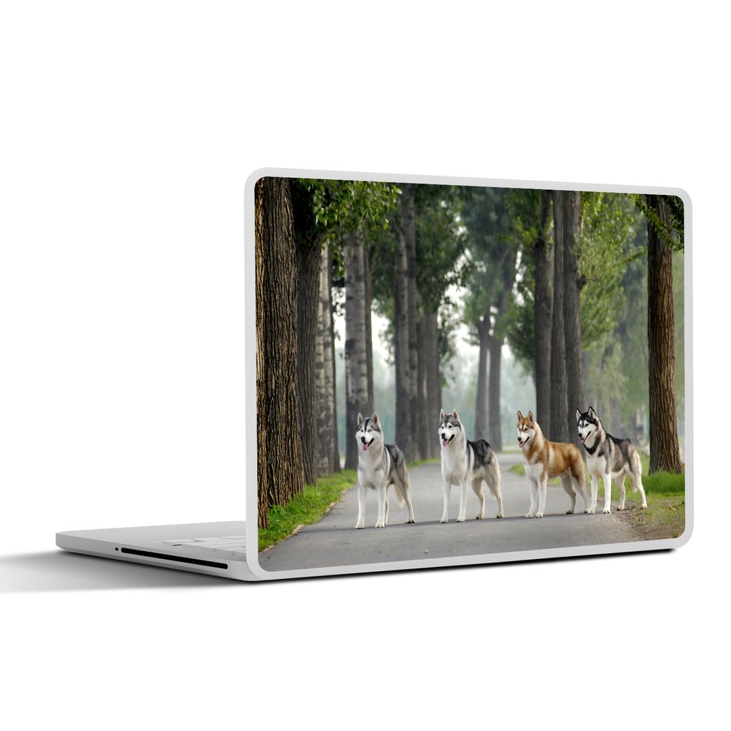 MuchoWow Laptop Aufkleber Sticker Cover Vier Huskys zwischen den Bäumen 32.5x23.5 cm - Sticker für Laptop - Selbstklebend