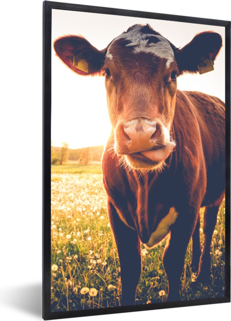 MuchoWow Gerahmtes Poster Kuh - Sonnenuntergang - Blumen - Gras - Tiere 20x30 cm - Poster mit Schwarzem Bilderrahmen Wandposter Rahmen Foto Bilde...