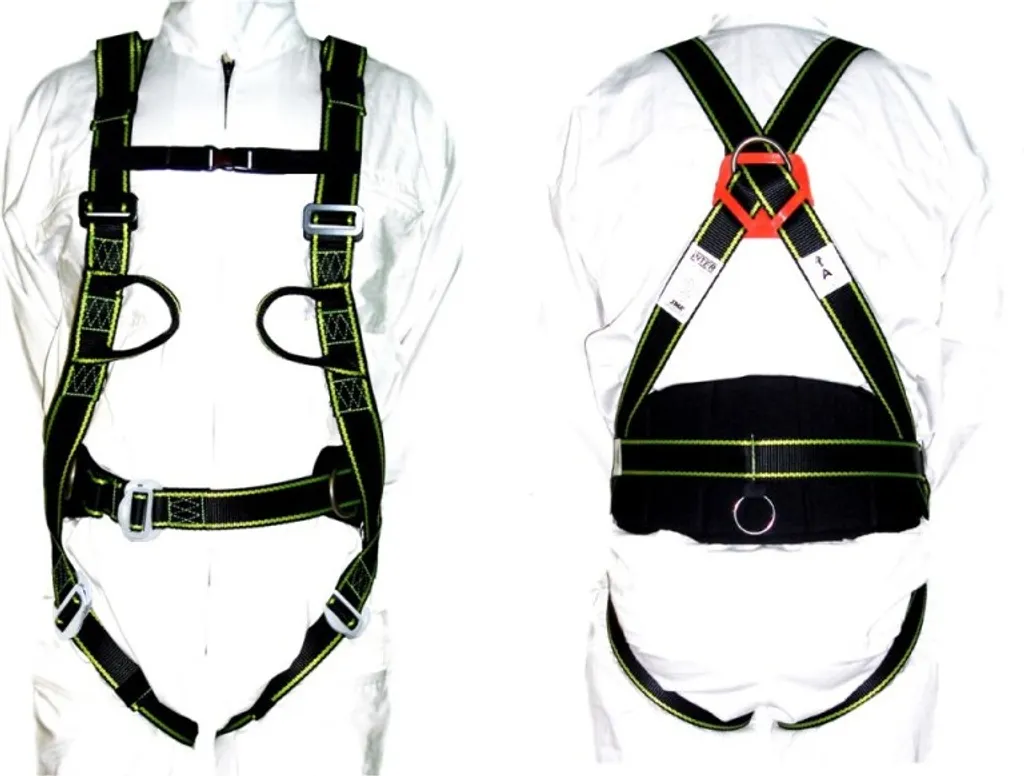 Harnais de Poitrine Dedra BHSZ08 avec Ceinture de Maintien au Travail