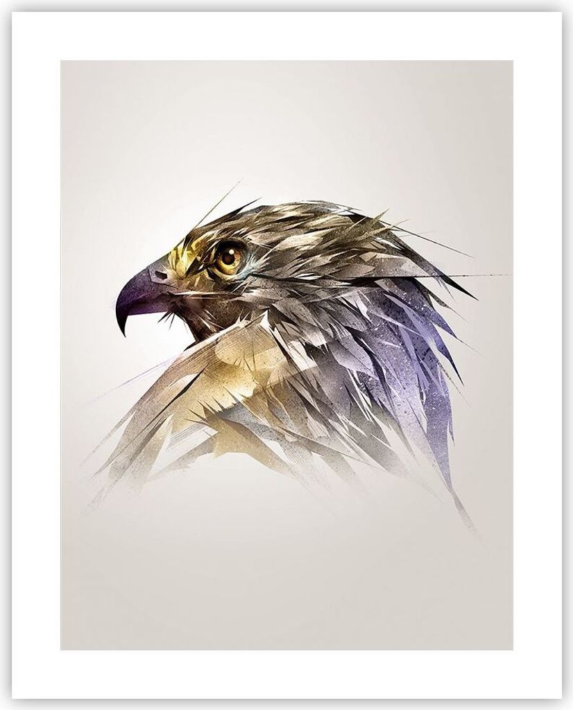 Poster - Poster ohne Rahmen - Adler Vogel Feder - 40x50 cm - Wand Bild - Wanddeko - Wandbilder - Kunstposter - Wandposter - Bilder - Kunstdruck - W...