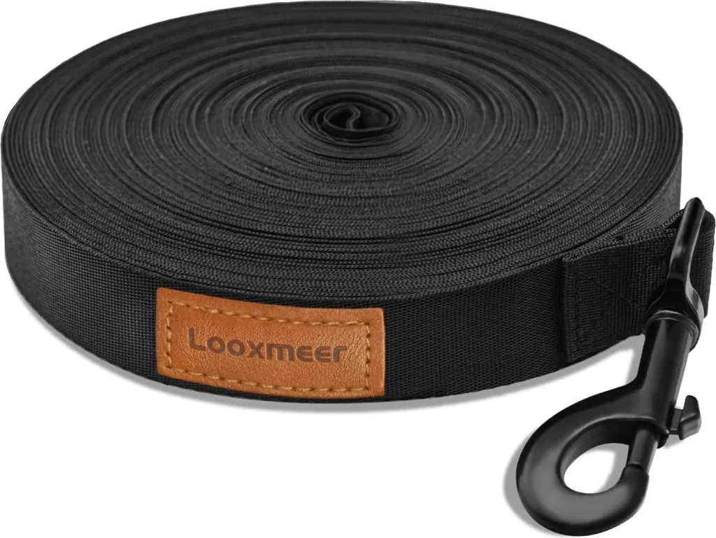 Longe pour chien robuste en nylon avec sac de transport et dragonne