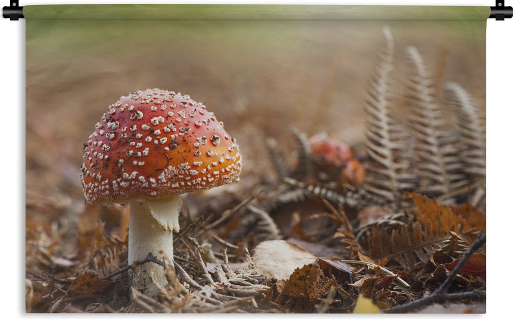 MuchoWow Wandteppich Wandbehang Nahaufnahme eines roten Pilzes 60x40 cm Tapisserie Dekoration Wandtuch - Wanddekorationen