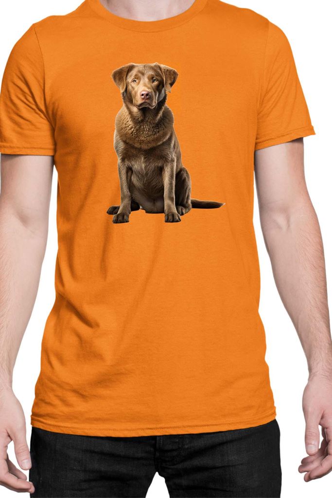 Herren T-Shirt Dogs Breeds Chesapeake Bay Retriever Dog Breed 007, Man XL / Orange