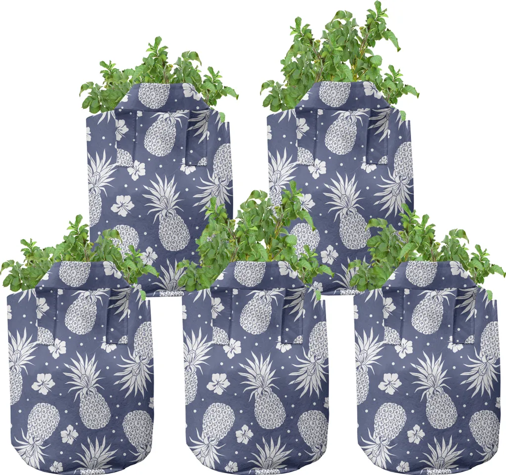 Pots en tissu haute performance ABAKUHAUS pour plantes et fruits, 5x 7 gal