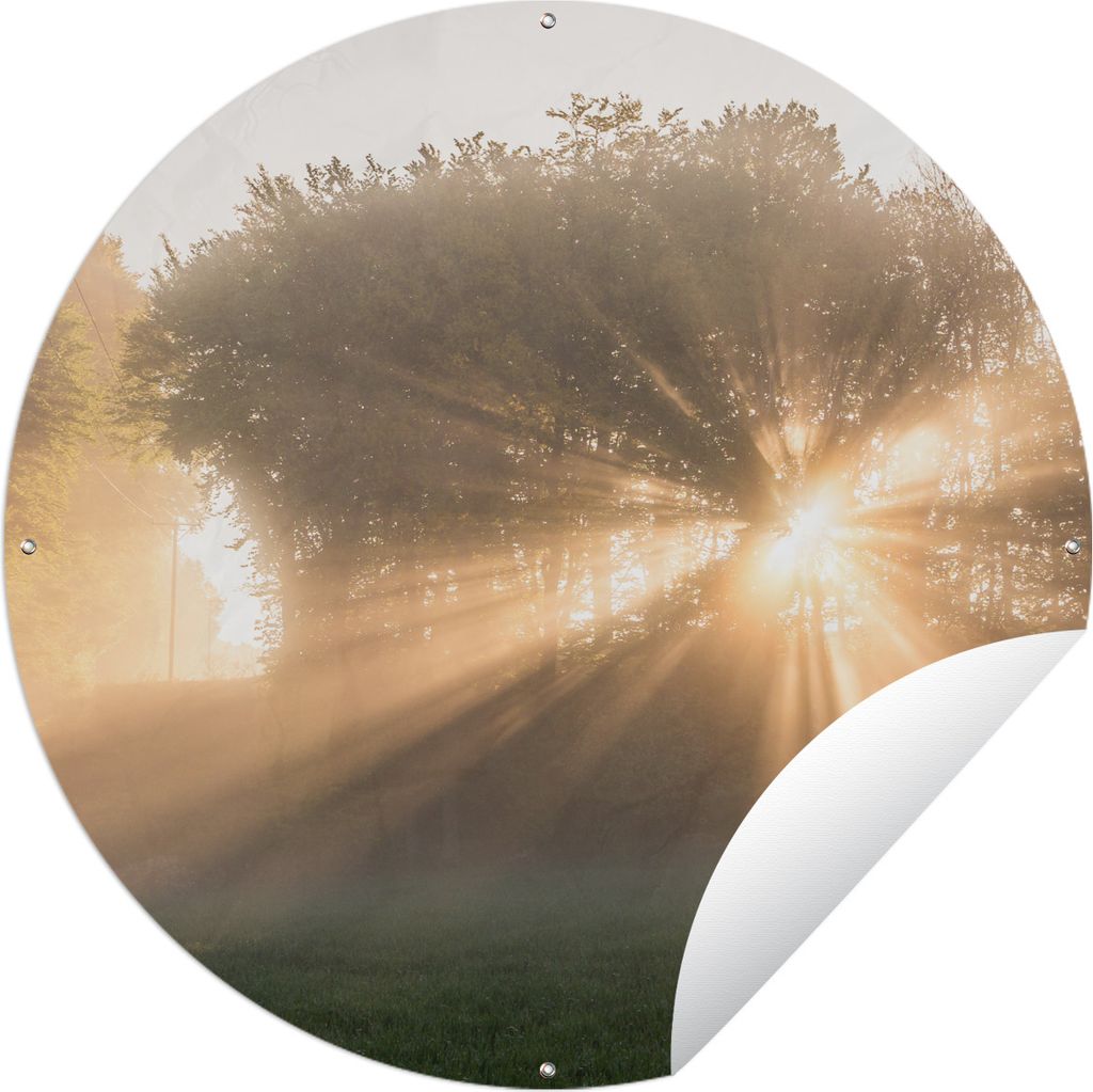MuchoWow Gartenposter Outdoor-Poster Rund Sonnenstrahlen durch den Morgennebel im Söderåsen-Nationalpark Ø 150 cm Gartendeko Rundes Poster dra...