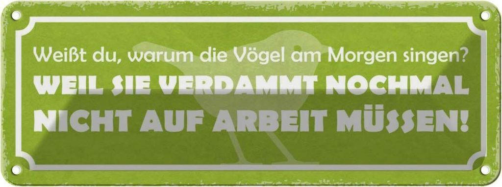 vianmo Blechschild 10x27 cm Arbeit Vögel am Morgen singen Dekoration Spruch Zitat