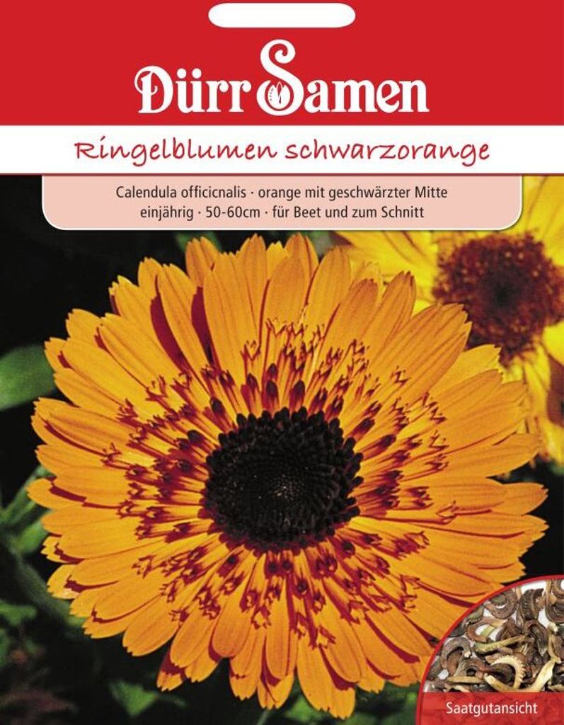 Dürr-Samen - Ringelblume Princess schwarzorange einjährig 50-60 cm - Saatgut - 1934