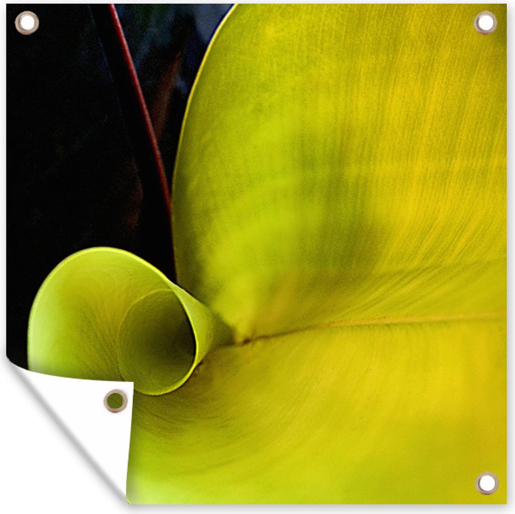 MuchoWow 40x30 cm Outdoor-Poster Gartendeko Sichtschutz Garten Poster für den Garten Schöne Natur Muster eines botanischen Blattes