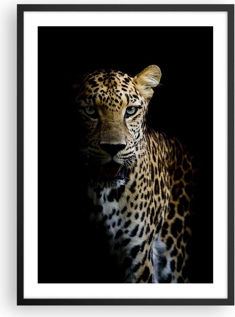 Gerahmtes Poster - Schwarzer Rahmen - Schattig Leopard Panther - 50x70 cm - Wand Bild - Wanddeko - Wandbilder - Kunstposter - Wandposter - Bilderra...