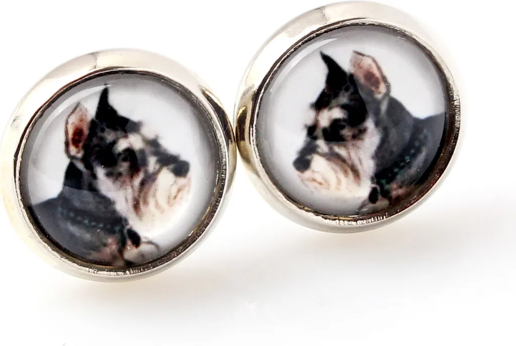 Schnauzer I Orecchini Art-Dog | Gioielli su Misura con Foto Cane in Box