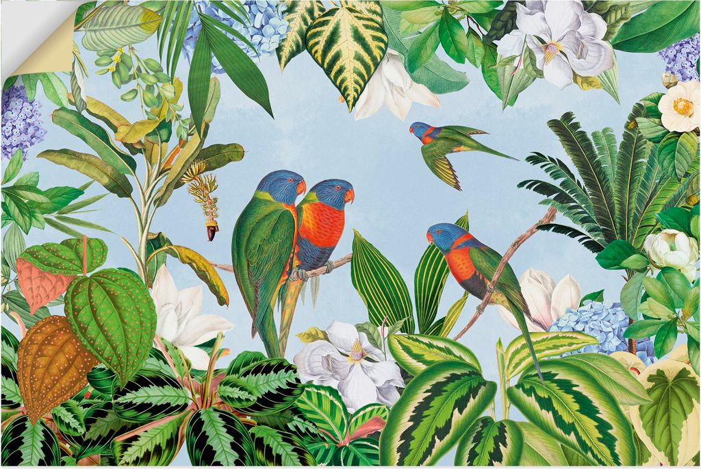 ARTland Wandbild, selbstklebend Papagein im tropischen Regenwald Größe: 60x40 cm