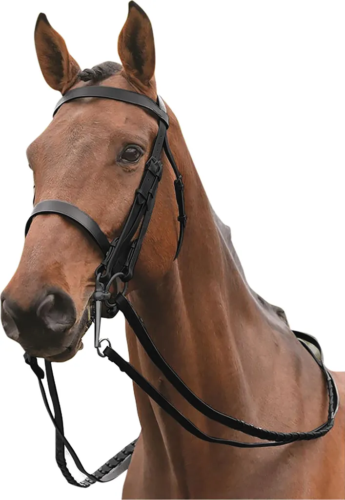 Bridon de Concours Weymouth Kincade II WB152 Noir pour Petit Poney