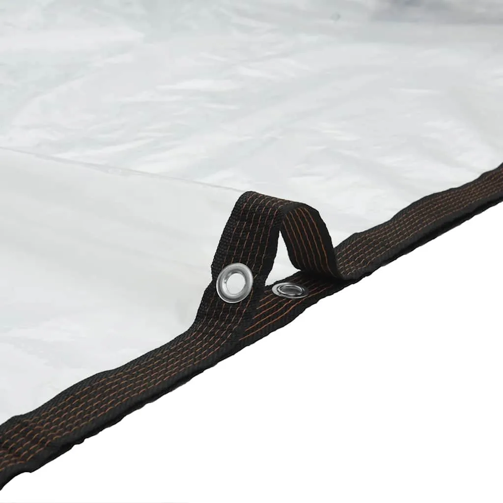 Bâche transparente 3x6 m imperméable avec œillets en polyéthylène PE - 6