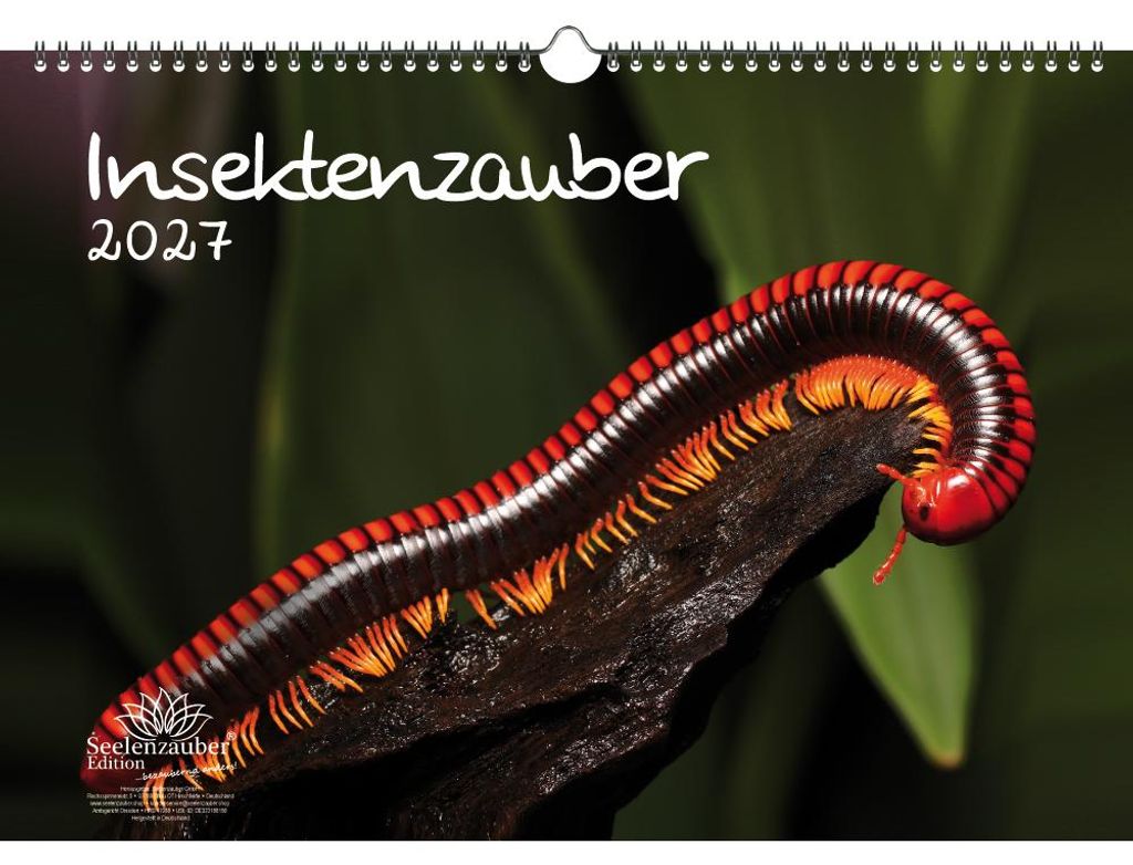 Insektenzauber DIN A3 Kalender für 2027 - Seelenzauber