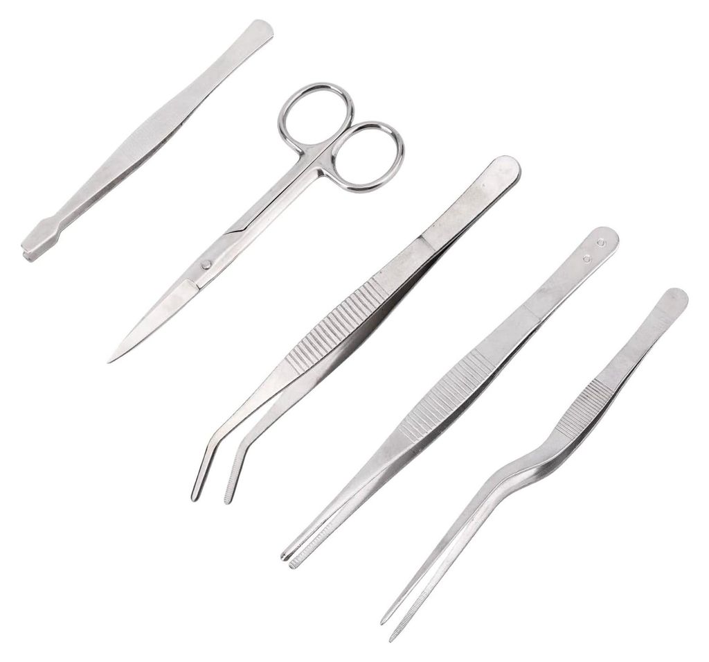 5-teiliges Set mit Pflanzenpinzetten und Schere, langes Edelstahl-Gartenwerkzeug mit gebogener und gerader Spitze für vielseitige Anwendungen in G...