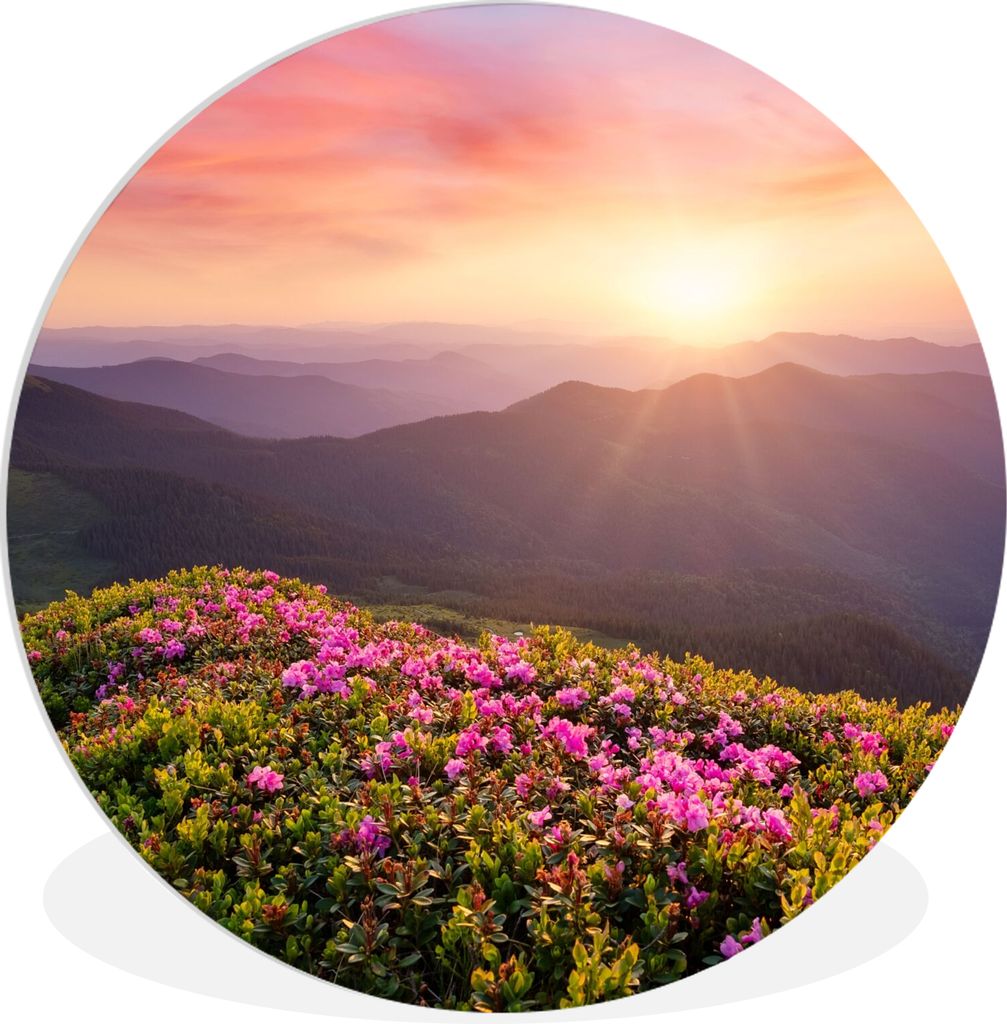 MuchoWow Rundes Wandbild - Runde Bilder Blumen - Berg - Sonnenuntergang - Landschaft Ø 30 cm Kreis Wanddekoration Kunststoff - Wandkreis - Wands...
