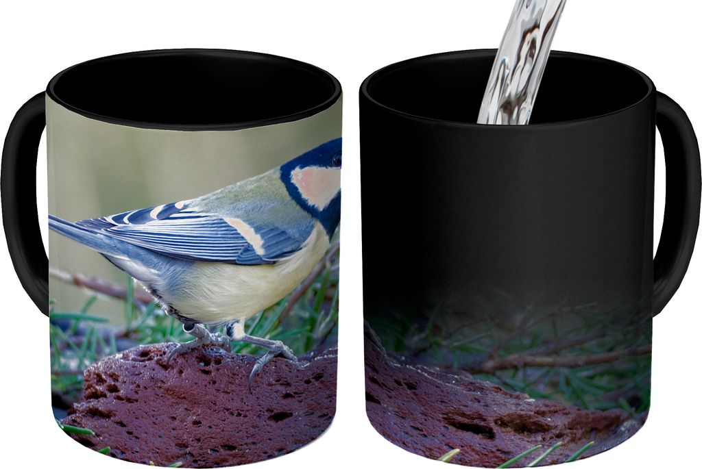 MuchoWow Zauber Tasse Zaubertasse Magic Eine Kohlmeise sitzt am Wasser und im Gras 350 ml Farbwechsel Becher Geschenk Geschenkidee - Magic-Tasse ...