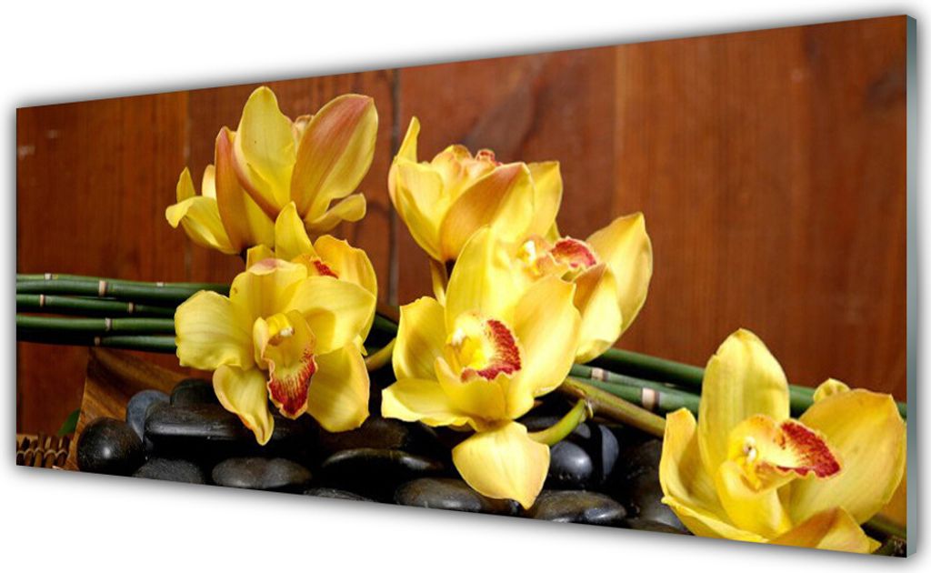 Küchenrückwand aus Glas 125x50cm Spritzschutz Blumen Steine Pflanzen