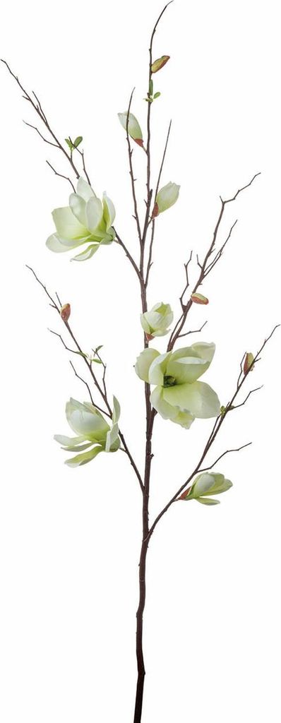 artplants.de Deko Magnolienzweig GLIVOR, Creme-grün, 115cm - Künstlicher Blütenzweig
