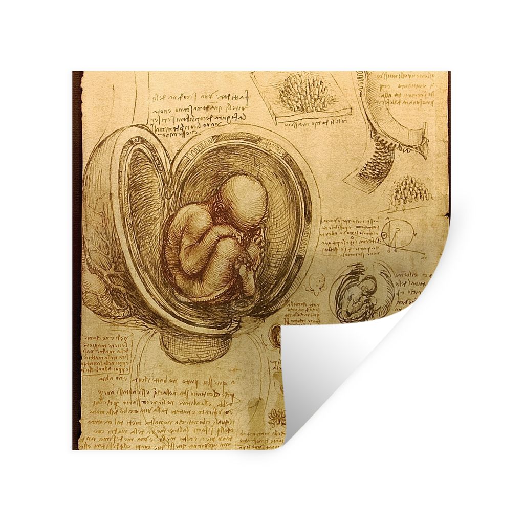 MuchoWow Wandtattoo Wandsticker Wandaufkleber Baby im Mutterleib - Leonardo da Vinci 30x30 cm Selbstklebend und Repositionierbar - Repositionierb...