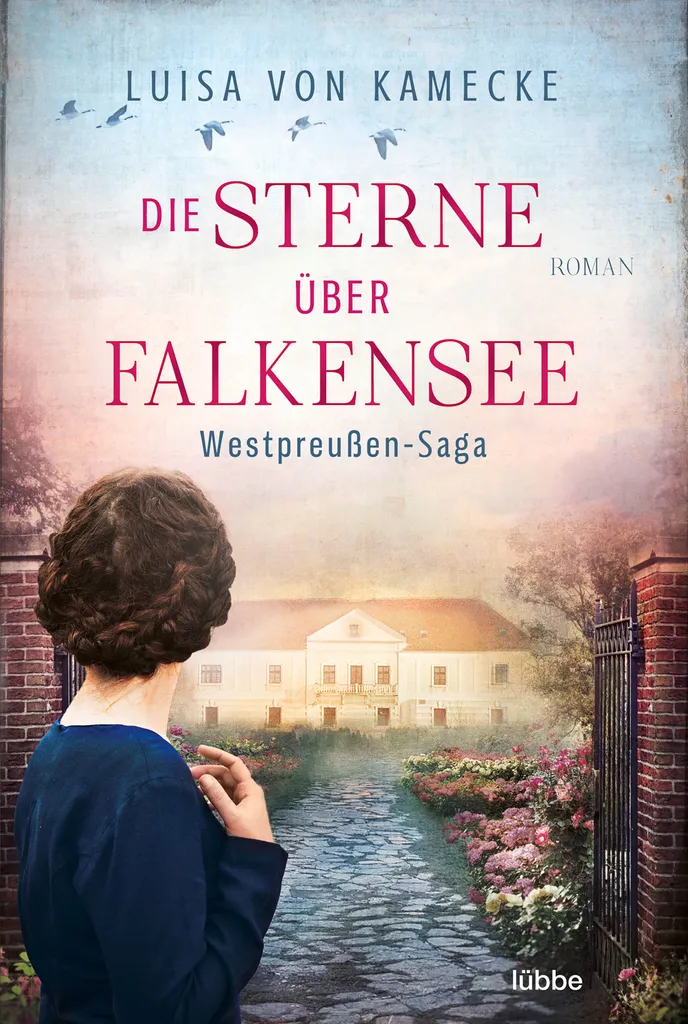 Die Sterne über Falkensee : le cadeau idéal pour les passionnés de lecture