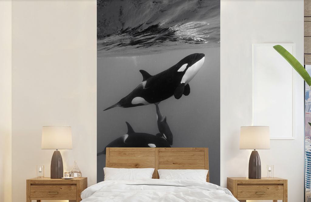 MuchoWow Fototapete für Wohnzimmer oder Schlafzimmer Wandtapete Vinyl Motivtapete Orca - Wasser - Schwarz - Weiß - 120x240 cm - Hintergrundbild