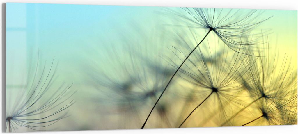 DEQORI Glasbild Echtglas 150x60 cm 'Schirmchen in Abendsonne' Wandbild Bild modern Deko