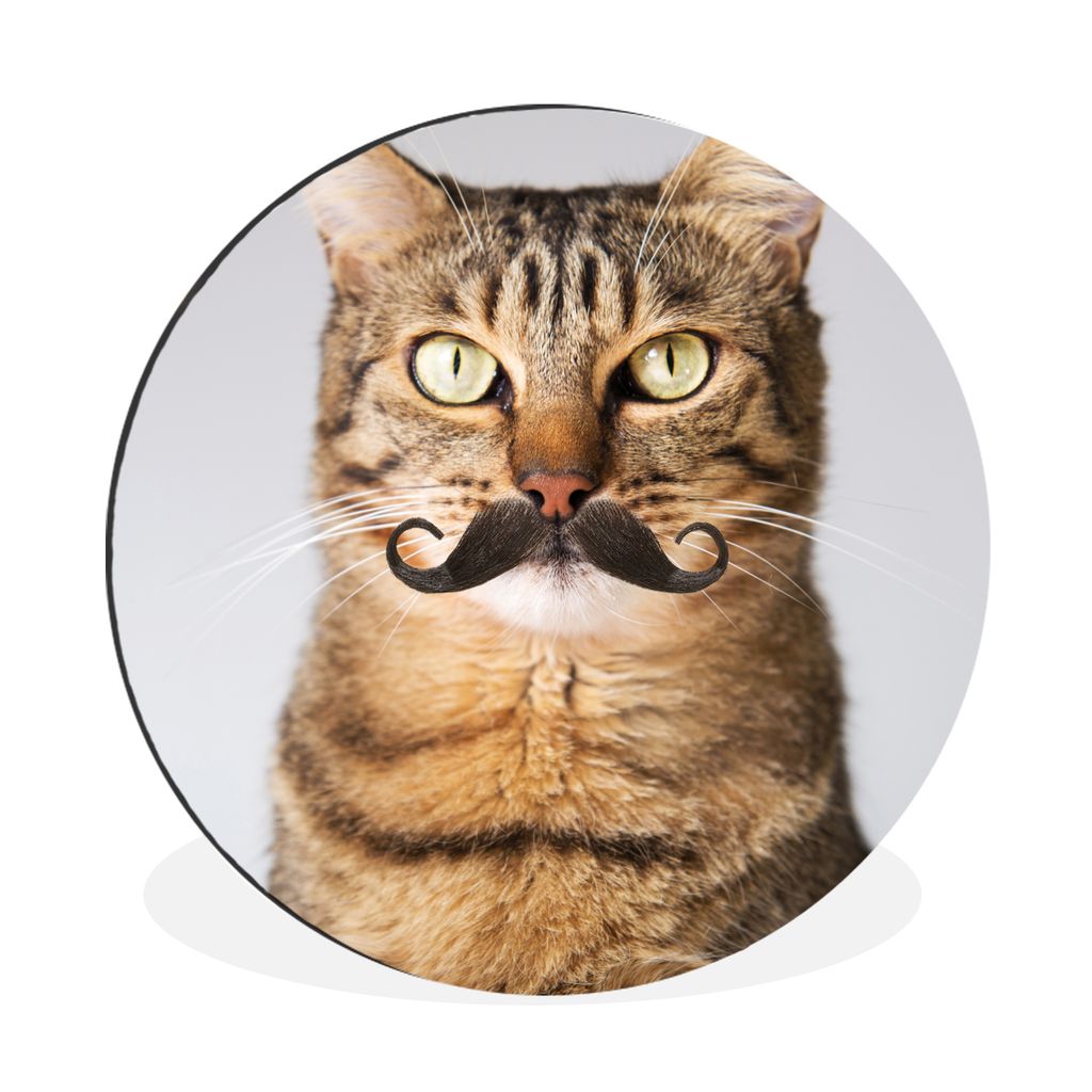 MuchoWow Aluminium Wandkreis Katze - Schnauzbart - Hipster Ø 60 cm Wanddeko Modern Wohnzimmer - Wand Kreis - Wandbild - Schlafzimmer - Aluminium...