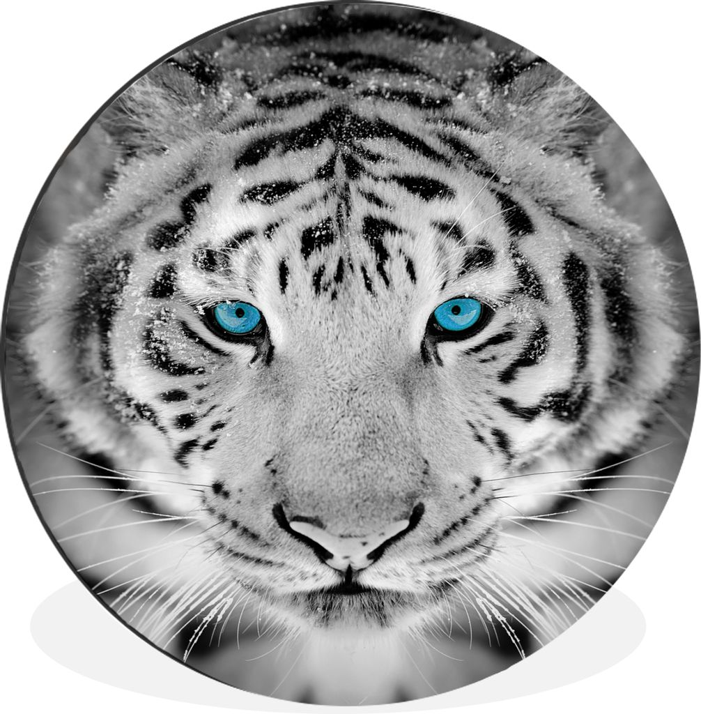 MuchoWow Aluminium Wandkreis Tiere - Tiger - Augen - Blau - Schwarz und weiß Ø 90 cm Wanddeko Modern Wohnzimmer - Mauerkreis - Wandbilder - Run...