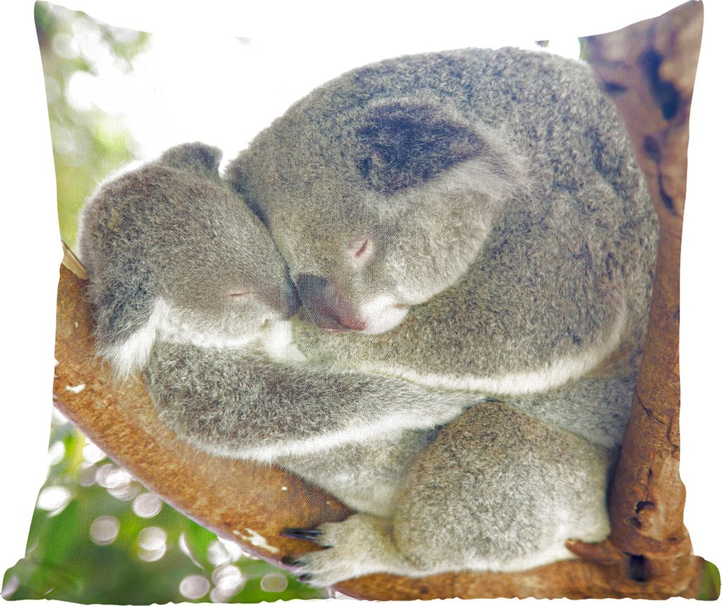 MuchoWow Zierkissen Sofakissen Wohnzimmer Dekokissen 60x60 cm Koalas - Knuddeln - Tiere - Jungen - Mädchen - Sitzfläche - Foto Polster