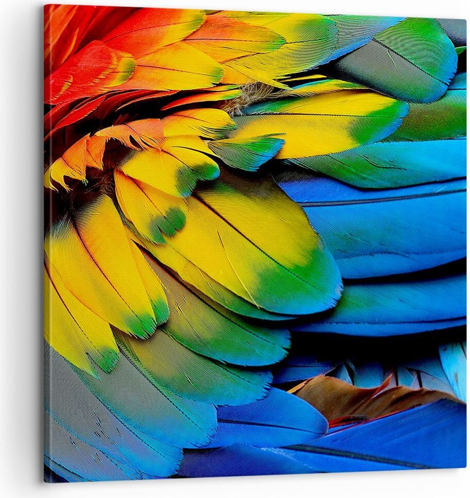 Bild auf Leinwand - Leinwandbild - Feder Papagei Vogel - 60x60cm - Wand Bild - Wanddeko - Wandbilder - Leinwanddruck - Bilder - Kunstdruck - Wandde...