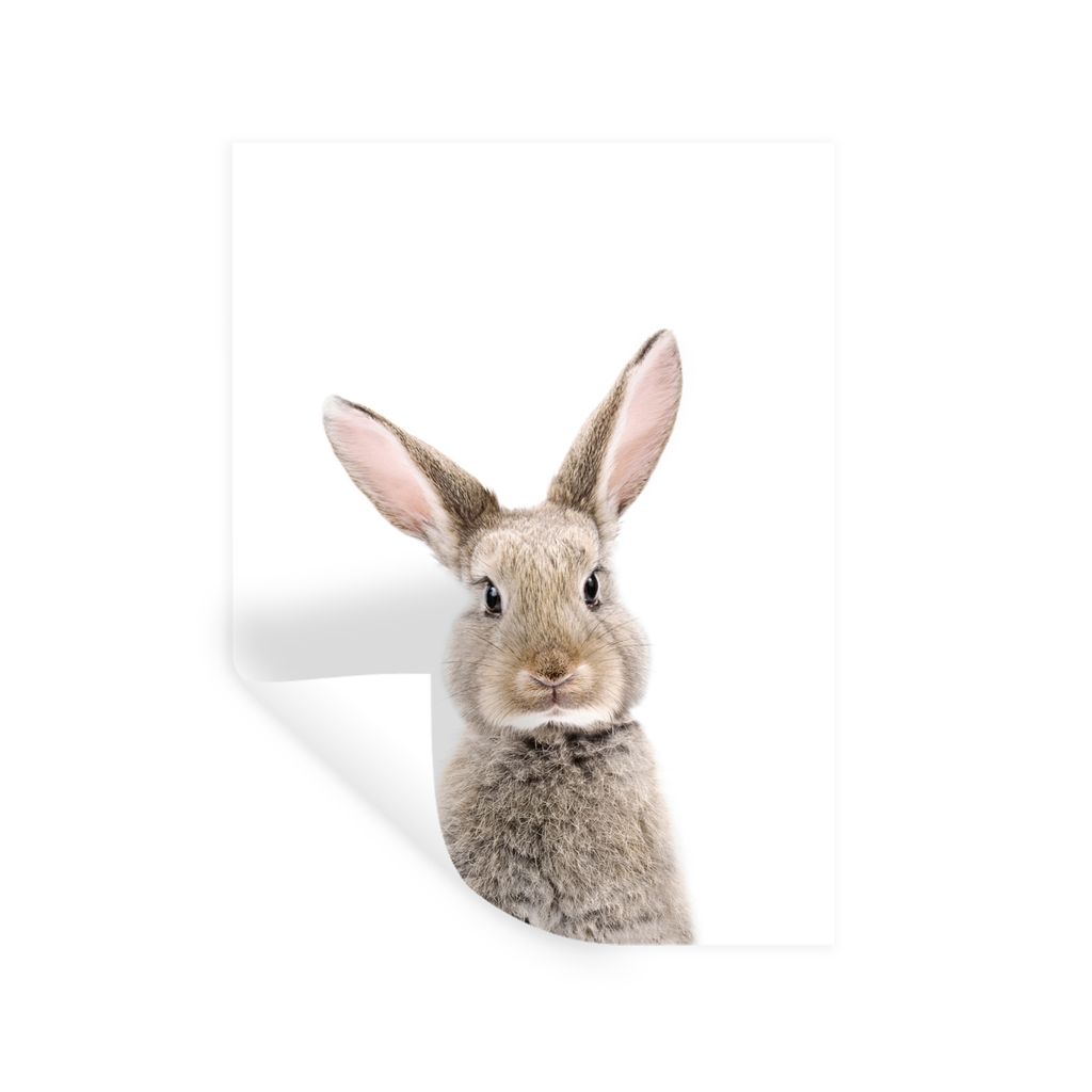 MuchoWow Wandtattoo Wandsticker Wandaufkleber Kaninchen - Tiere - Natur - Braun 30x40 cm Selbstklebend und Repositionierbar - Sticker - Dekorfolie
