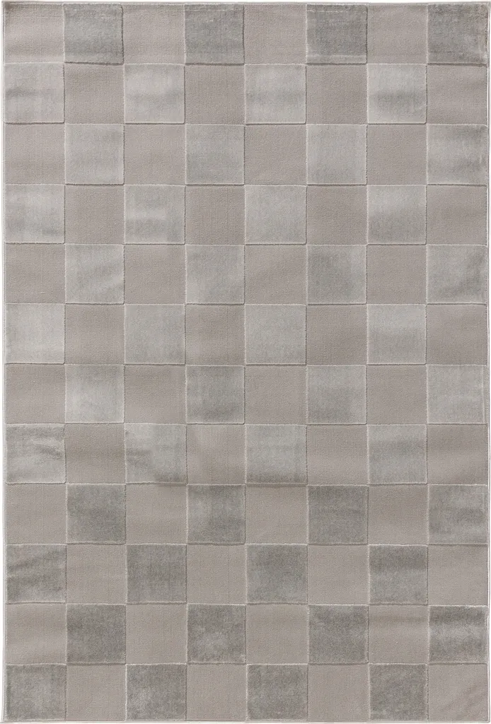 Grand tapis de salon 160x230 cm Interiyou Cannes Grau F1 Coloris Gris