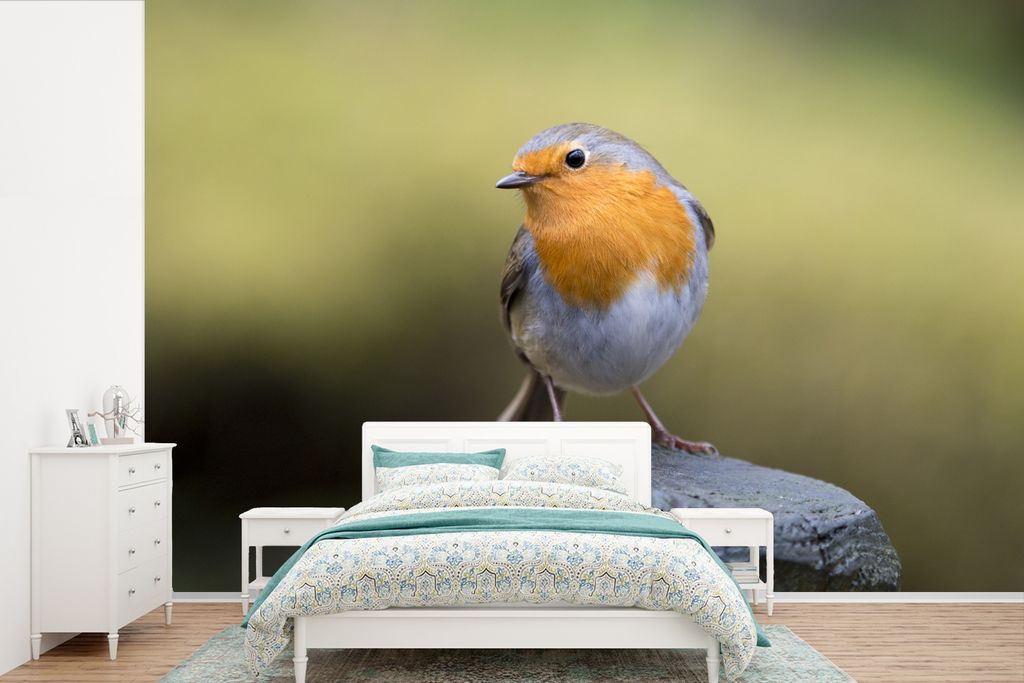 MuchoWow Fototapete für Wohnzimmer oder Schlafzimmer Wandtapete Vinyl Motivtapete Pfahl - Rotkehlchen - Natur - 450x300 cm - Gemusterte