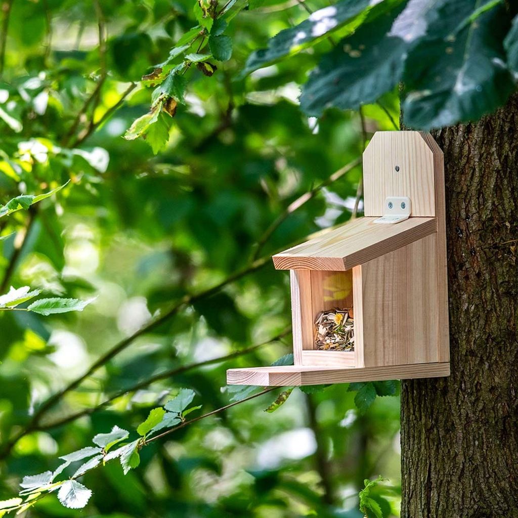CJ Wildlife eichhörnchen futterhaus - Bausatz für Kinder mit Anleitung - Holz ( 100%) - Futterstation zum Bemalen - mit Vorbohrungen